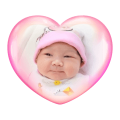 Pitta_20260308161453