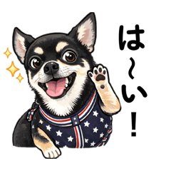 Layla_20260308145144