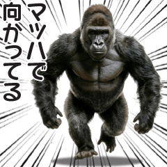 使える☆ゴリラのスタンプ