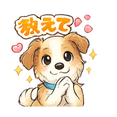 今日のワンコ(ボルゾイ)