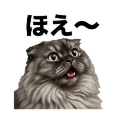 Masahiro_20260308201824