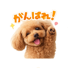 KISEKI TUKINO_20260306181517