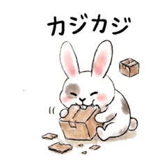 POPOttttti_20260308151308