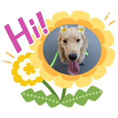 proud's rad stickers <3