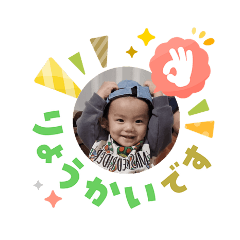 dolly_20260308205756