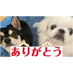 Makoto_20260308213641