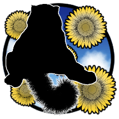 For cat frame arrangement 2