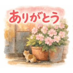 Kittens in towns