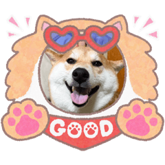 mugi_20260308153254