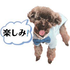 Chocota_20260308215850