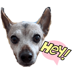 AYA0429_20260308225223