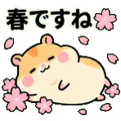 胖倉鼠「麻糬鼠」的春天日常