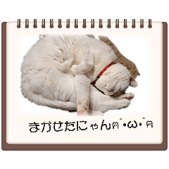 yuann_20260307084929