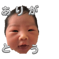 yk_20260308224821