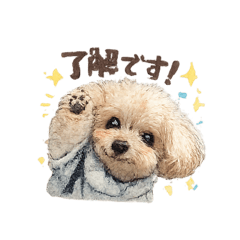 tooru_20260307134822
