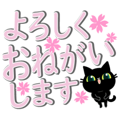 Small, obliging, black cat.10(revised)