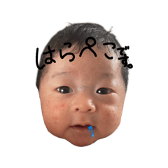 ka_20260308234937