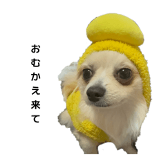 Suzu_20260308175855