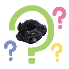 sayuri_20260308181908