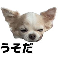 Onechan_20260309004423