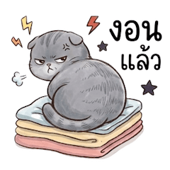 ชีวิตยุ่งๆของน้องเหมียว 2