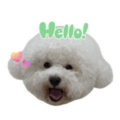 安安老闆跟姊姊