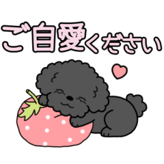 Dog sticker.#18 Toy Poodle(Black) 2