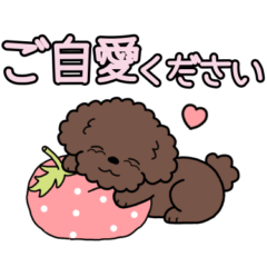 Dog sticker.#18 Toy Poodle(Red) 2