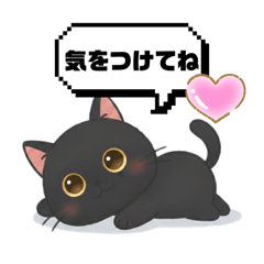 TAKUMARIMO_20260307202004