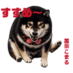 kuroshiba_komaru_20260307211918