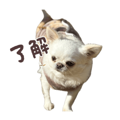 mugi_20260309072104