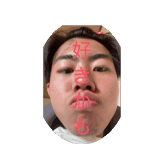 YK_20260309104528