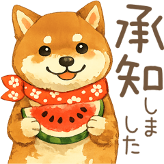 fluffy shiba3