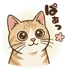 ♥はなまる様♥ はなまるのLINE スタンプ・絵文字一覧 | LINE STORE