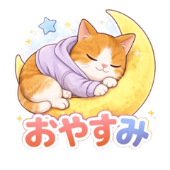 Healing Cat House: Daily Tuxedo Cat