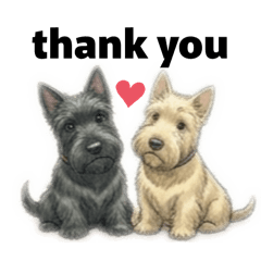 runa_20260306150433