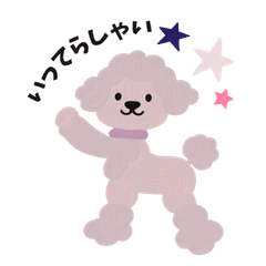 Happy Fluffy Toy Poodle Days