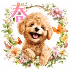 春♡動く!トイプードルのアニメーション
