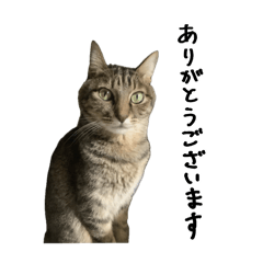 na-san_20260309103708