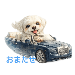 yuka_20260306151332