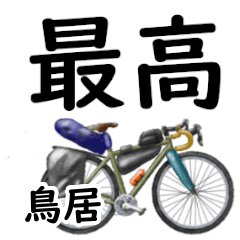 Torii'having fun bike