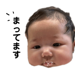 koka_20260309093609