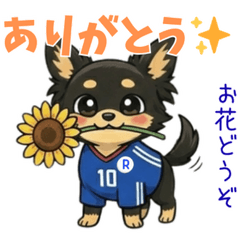 Rocky Stickers Vol.2 | Everyday