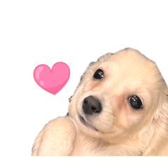 dosanko_20260309121240