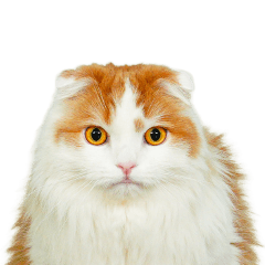 LAtte cute Stickerno3