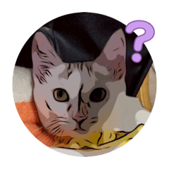 劉小白&劉小花一家2