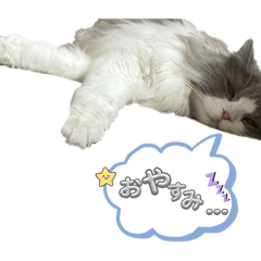 yuka_20260308135211