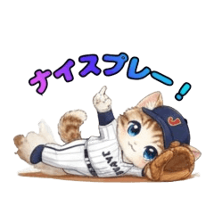 WBC Japan's lucky kitten