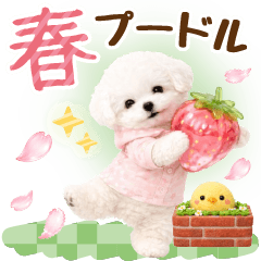 癒やしプードルで春の日常スタンプ