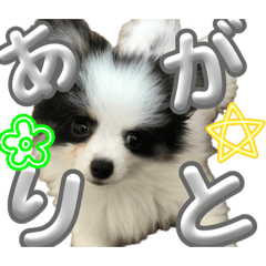 sskk_20260308144751